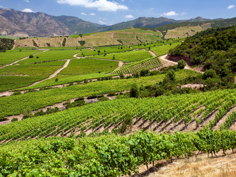 Discover-the-Best-South-America-Tours-The-Wine-Routes-of-Argentina-and-Chile