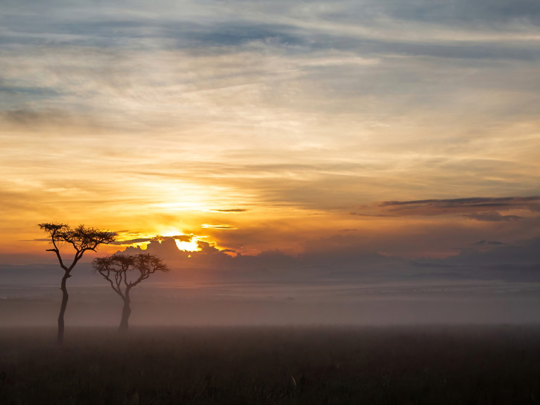 Masai Mara National Reserve showcases a diverse range of ecosystems