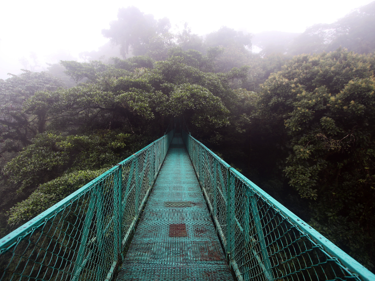 Monteverde Cloud Forest: Paradise for Nature Lovers