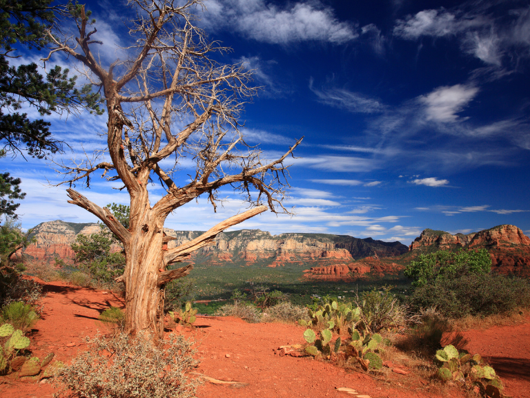 Sedona's allure stems from vortexes, unique geological features emitting positive