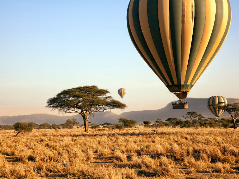 Serengeti-National-Parkoffers-an-unforgettable-experience-like-no-other