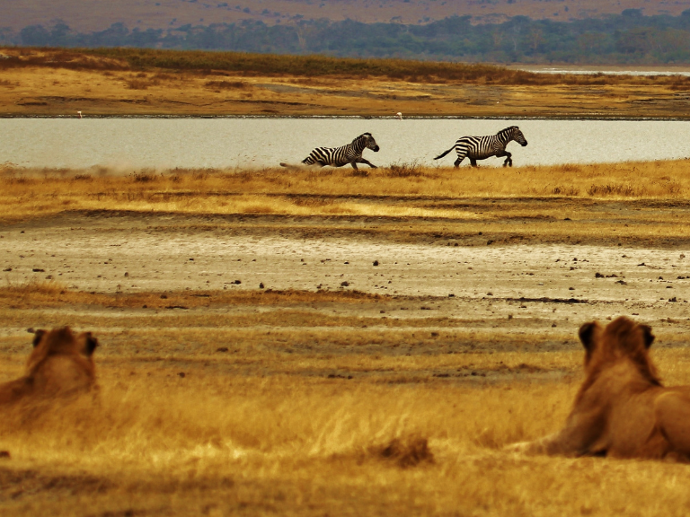 Information-about-Serengeti-National-Park
