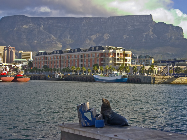 Cape-Town-natural-beauty-combines-with-rich-history-and-cultural-diversity