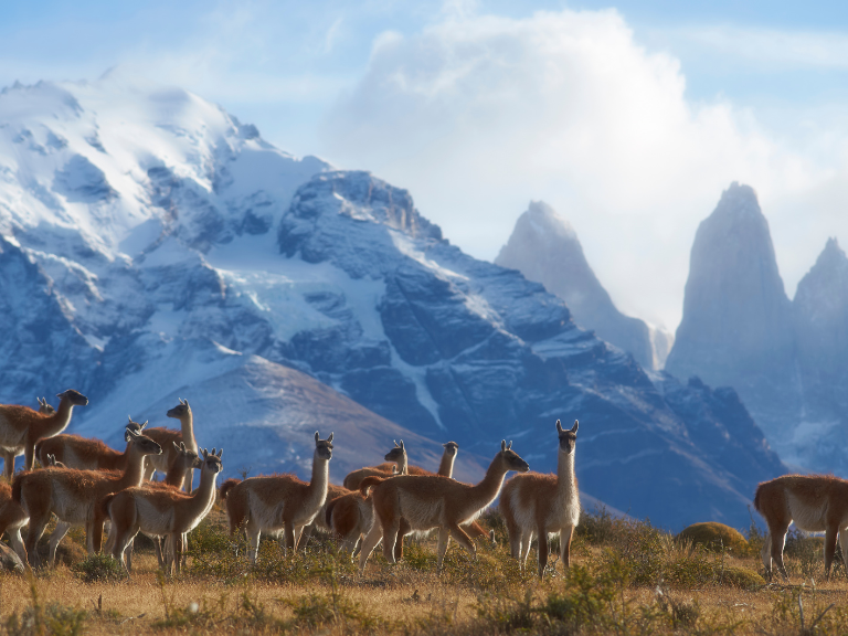 Outdoor-Adventures-Amidst-Patagonias-Wilderness