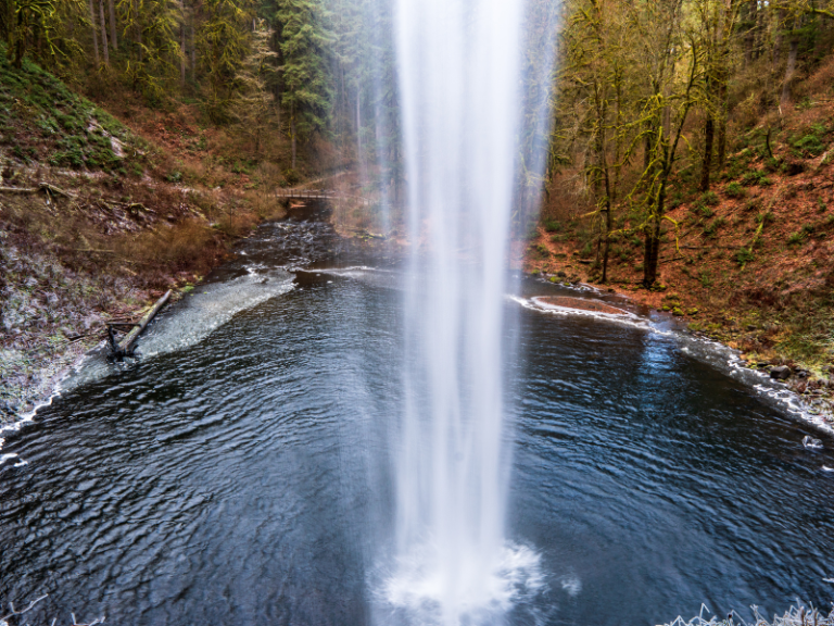 Silver-Falls-State-Park-Ideal-escape-with-waterfalls-forest-trails-and-thriving-wildlife