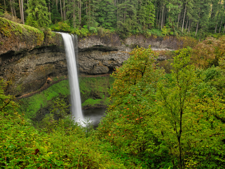 Silver-Falls-State-Park-Oregons-Hidden-Gem