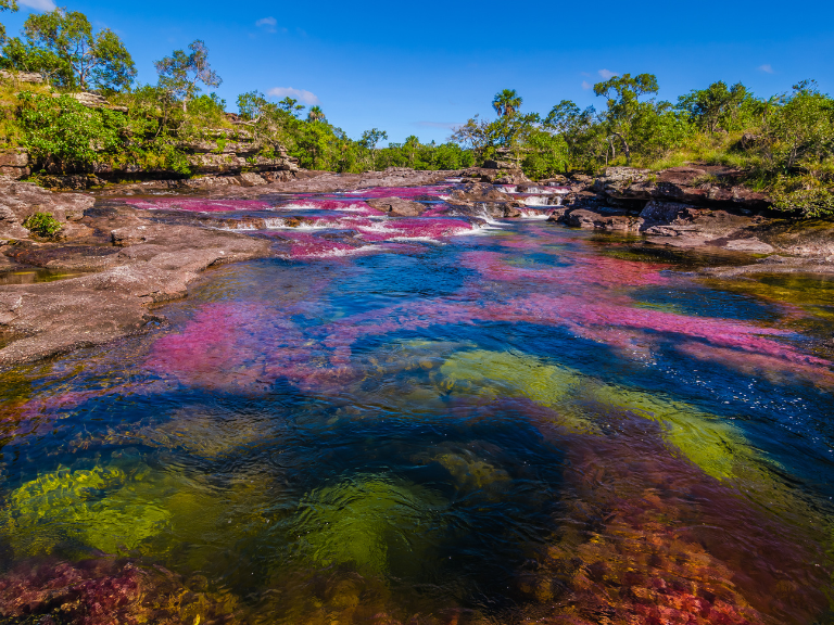 cano-cristales-colombia-natural-gem