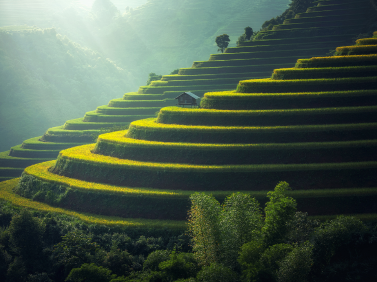 hike-through-the-lush-rice-terraces-and-catch