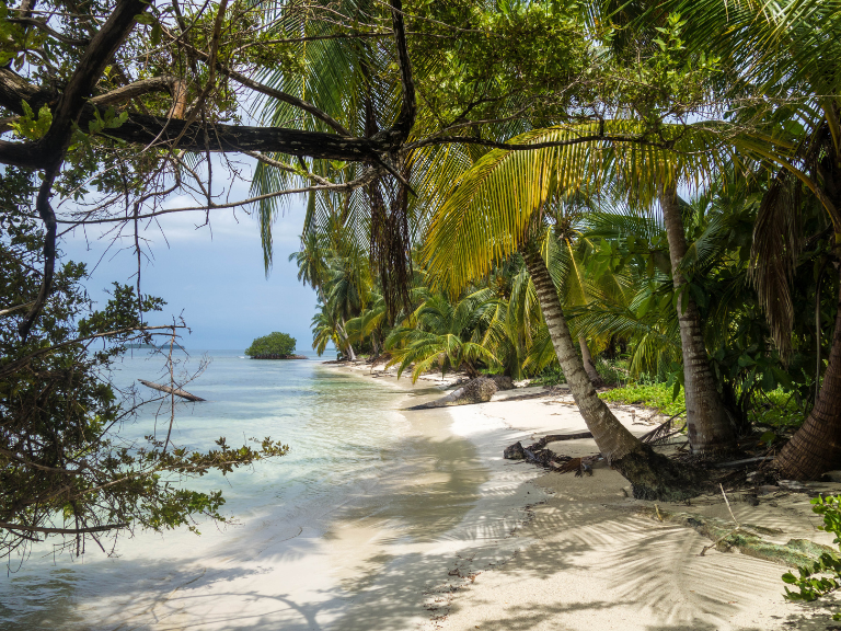 rainforests-sparkling-turquoise-waters-and-pristine-white-sand-beaches